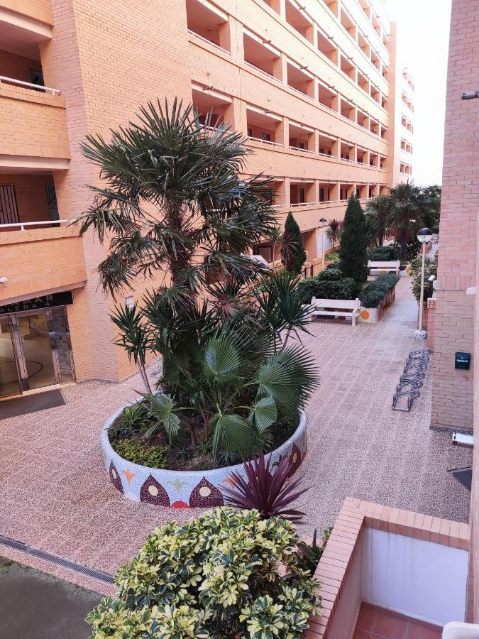 Apartamento Acogedor En Cabanes, Torre La Sal, Costamar I Marina D'Or Venta de San Antonio-Estacion Buitenkant foto