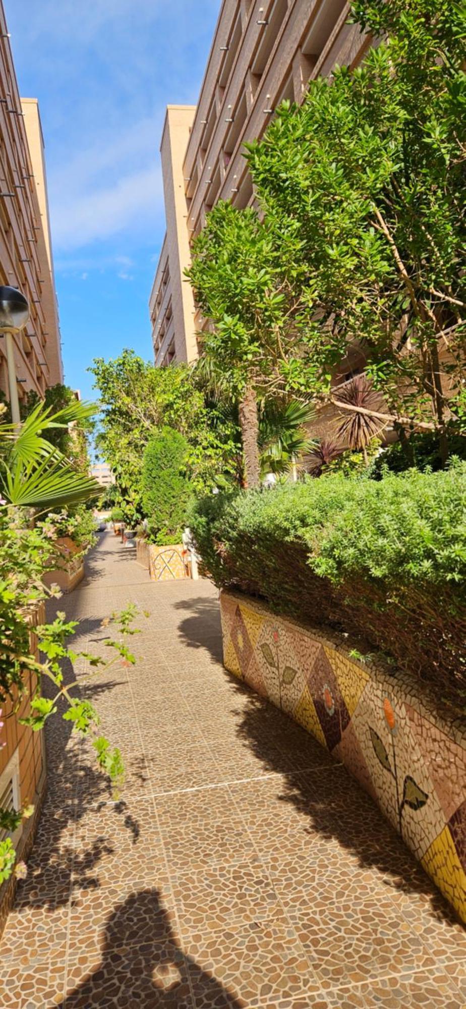 Apartamento Acogedor En Cabanes, Torre La Sal, Costamar I Marina D'Or Venta de San Antonio-Estacion Buitenkant foto
